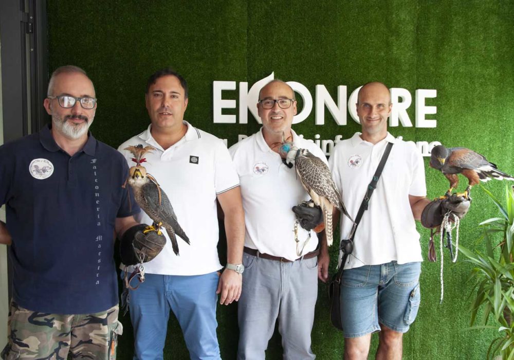 falconieri addestrati per allontanamento piccioni